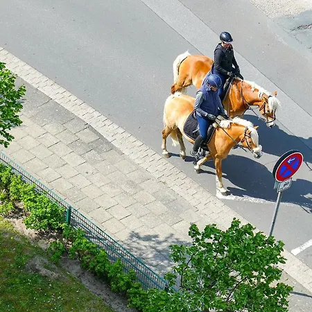 Апартаменты Haus Nordseebrandung Na72 *