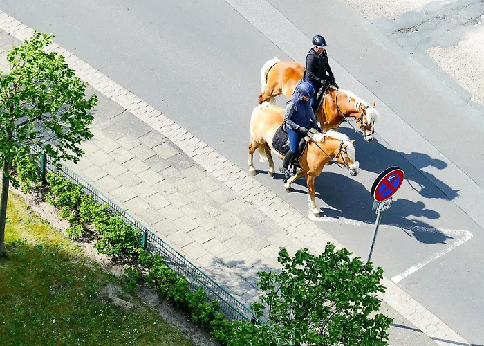 Haus Nordseebrandung Na72